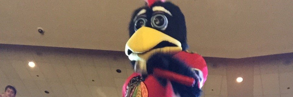 erichull's profile banner image