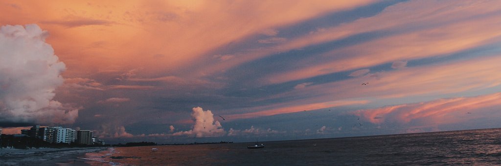 Gabby banner
