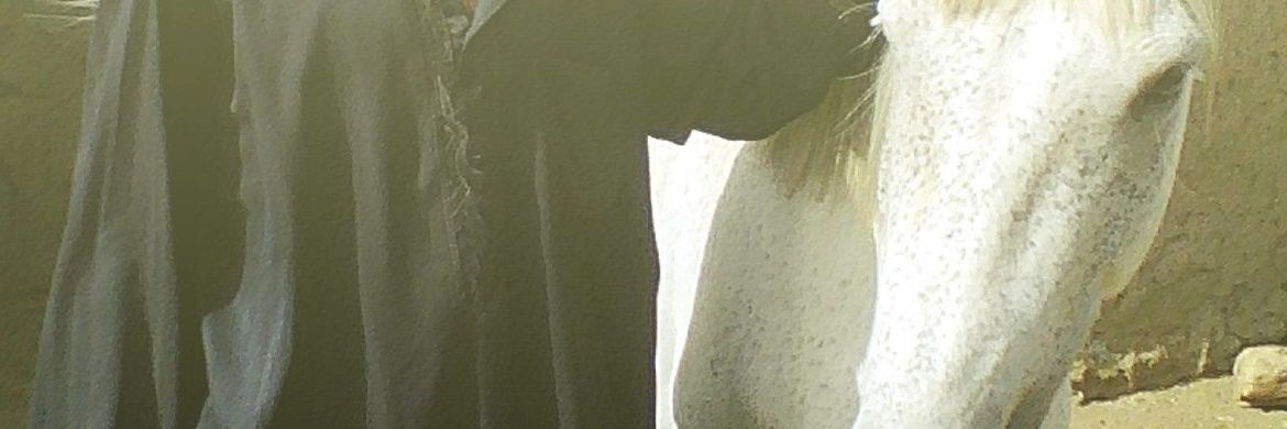 FAISALM50's profile banner image