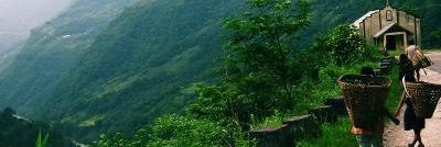 Isaura_Girlwait's profile banner image