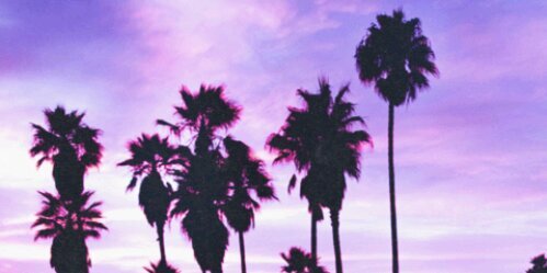millerallgdr's profile banner image
