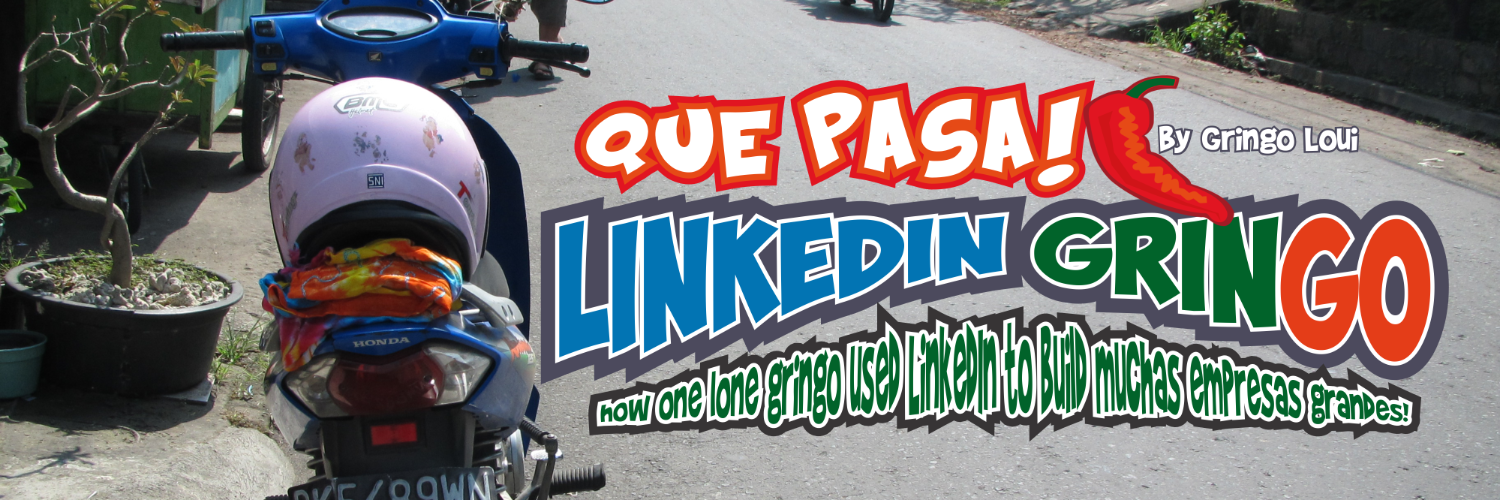 LinkedInGringo's profile banner image