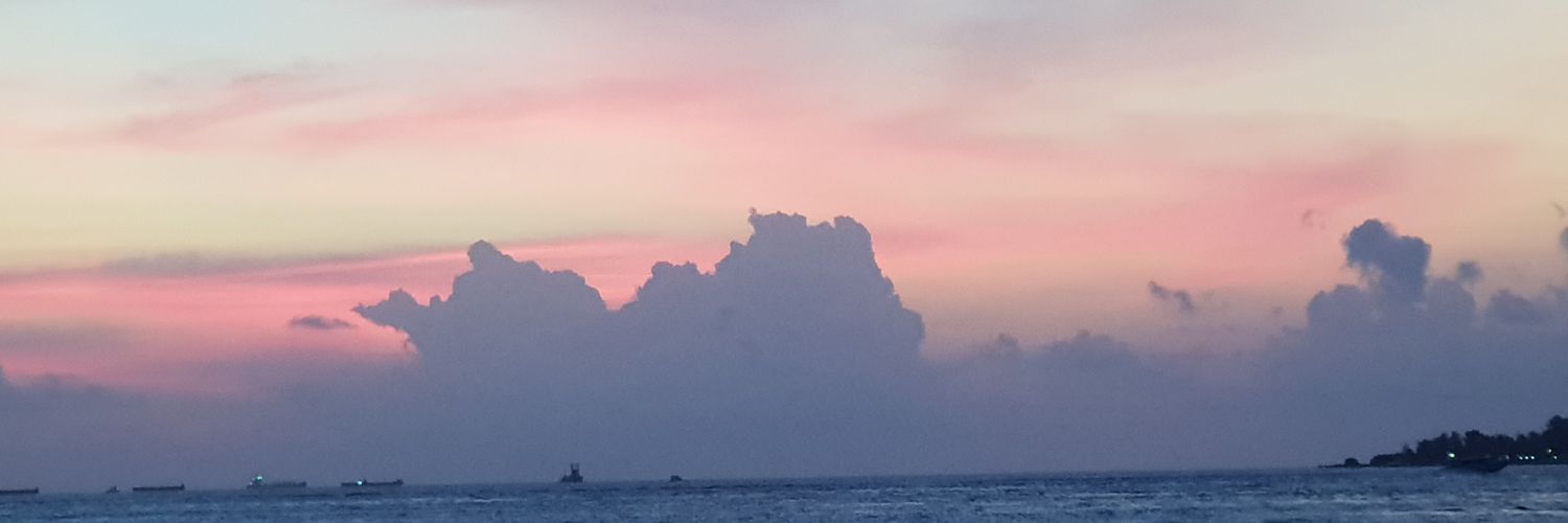 asmaaa_ali's profile banner image