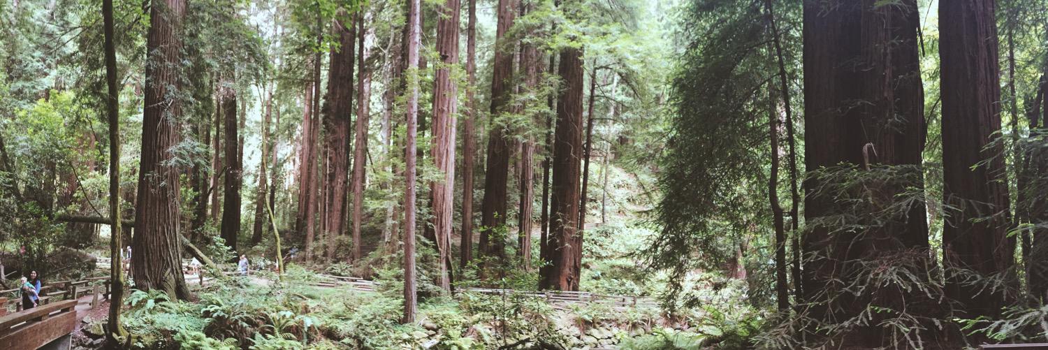 Anniefost's profile banner image