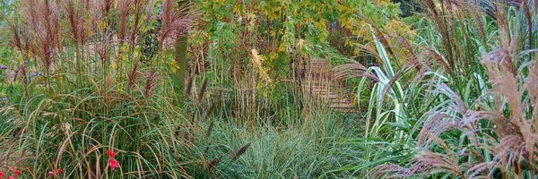 AlpinesGrasses Profile Banner