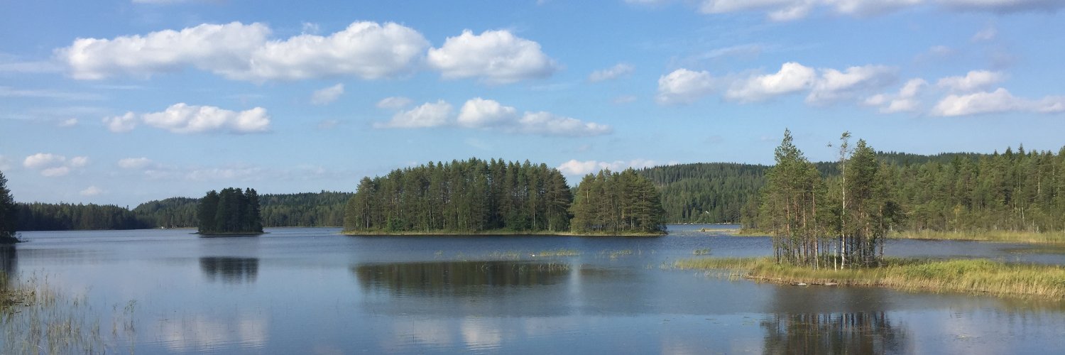 Mika Heijari banner