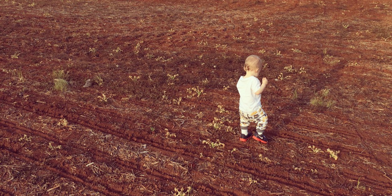 Mark T. Collins banner