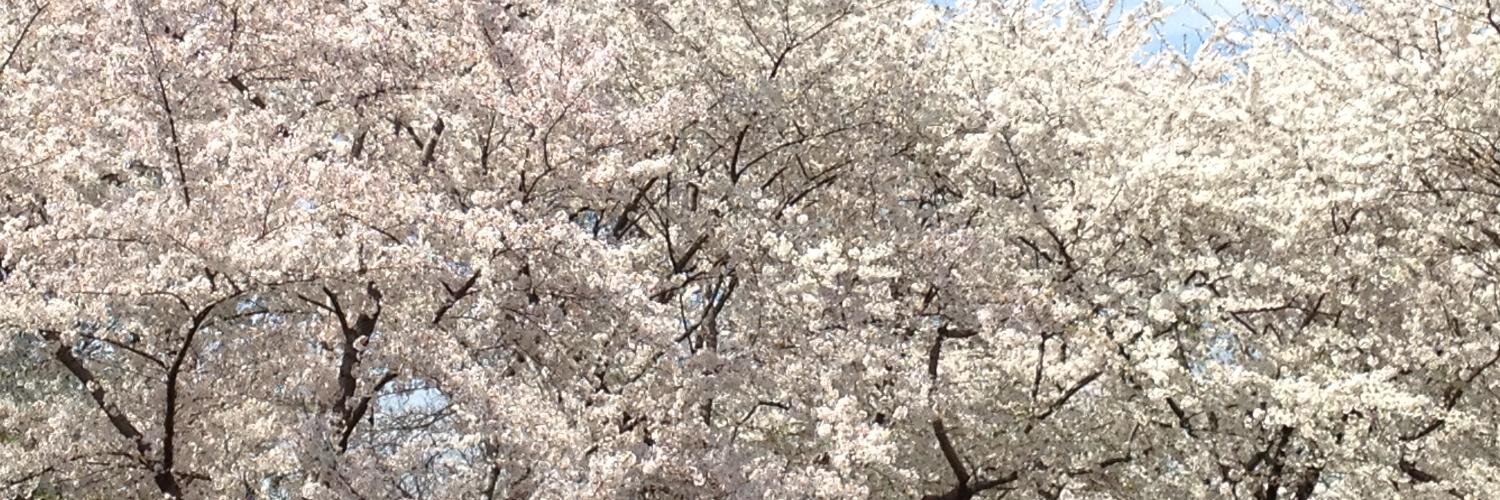 SLyonsPadilla's profile banner image