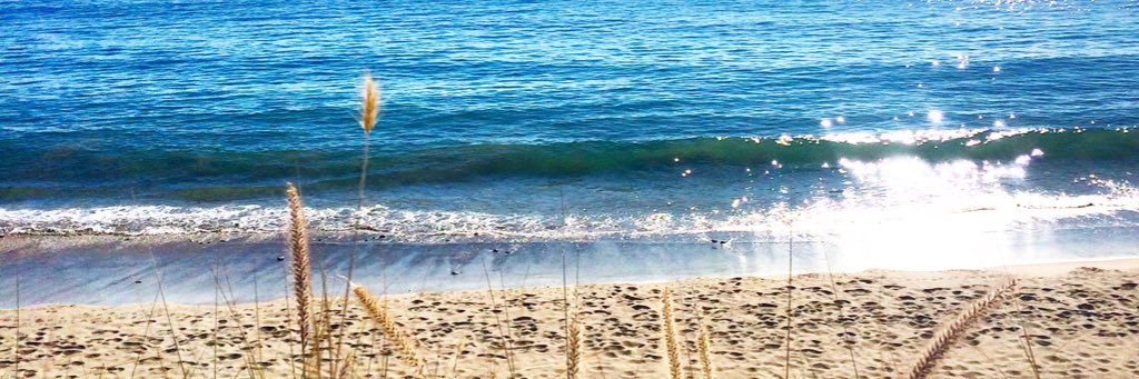 ALLeanse11's profile banner image