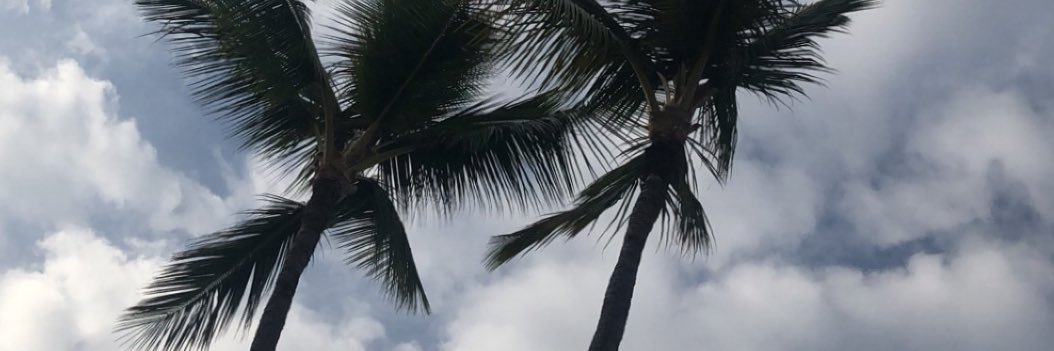 Amanda Stecyk banner