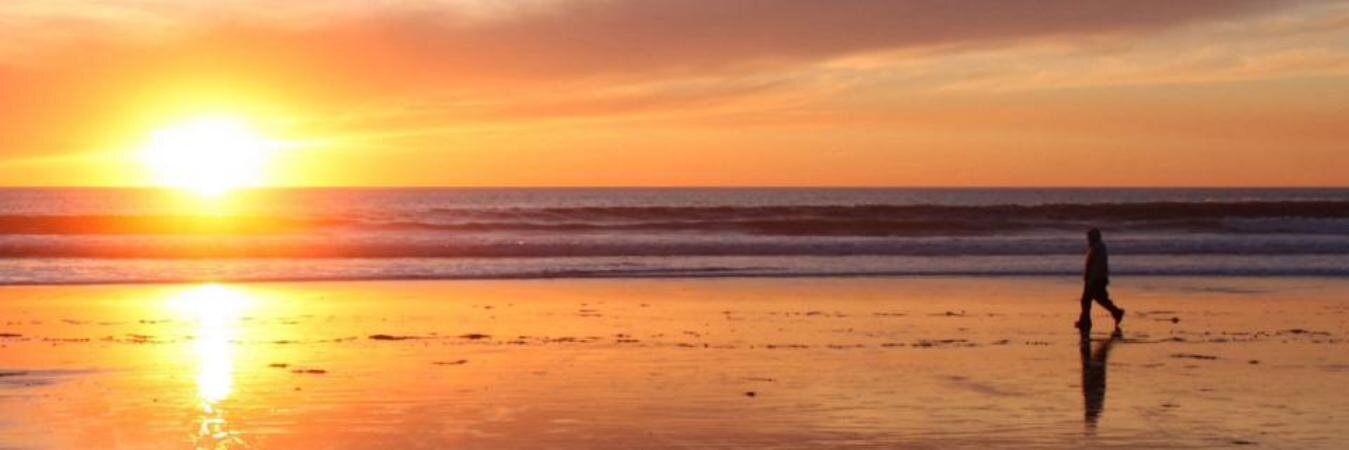 MartinhaPina's profile banner image