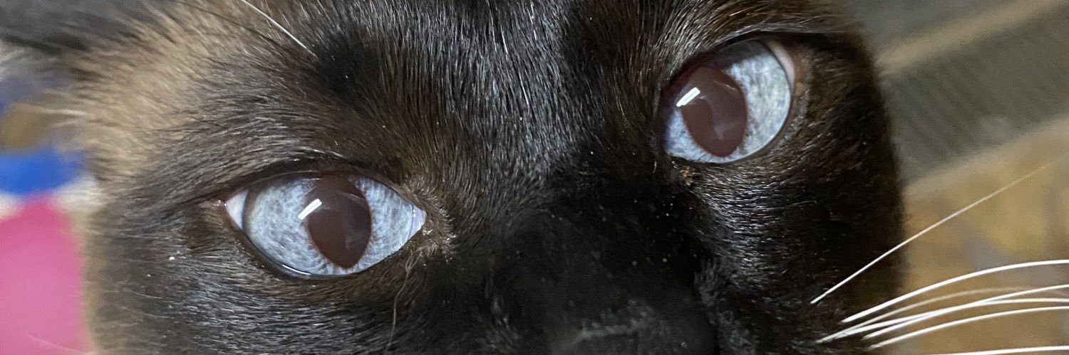 Babyaneg's profile banner image