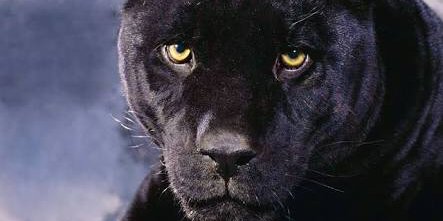 XingOutTheBad's profile banner image