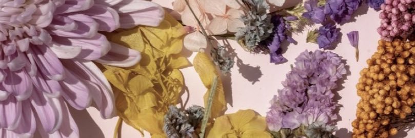 rinacrackers's profile banner image