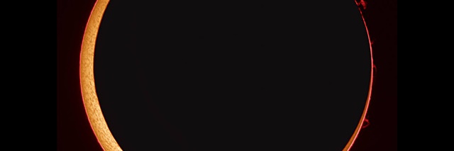 CalicoNinja's profile banner image
