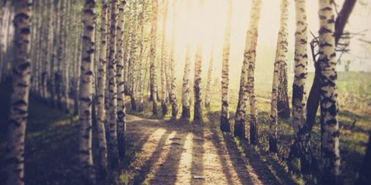 OaktonRecycles's profile banner image