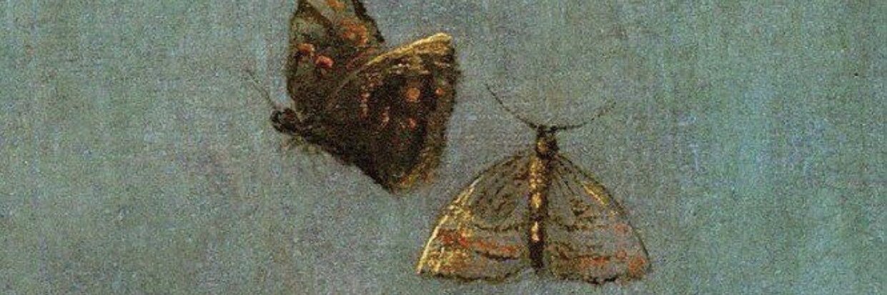 derlerbeg's profile banner image