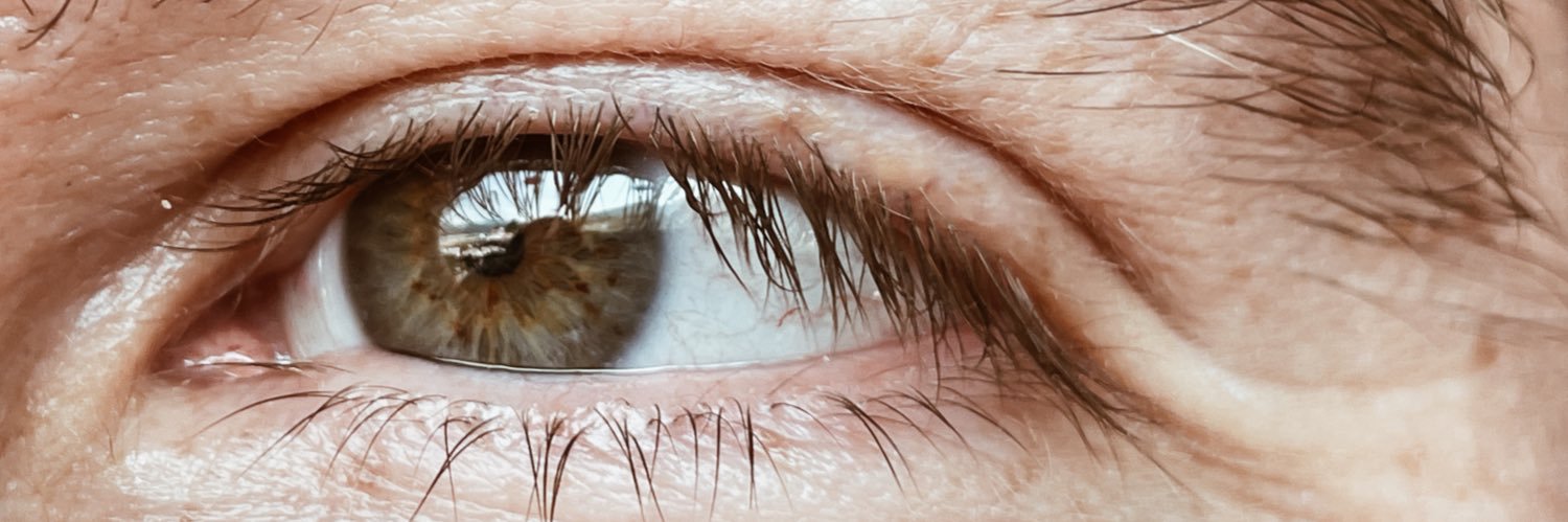 AlisonVilc's profile banner image