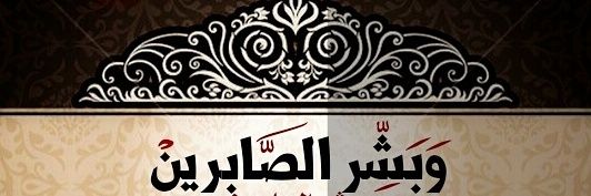 dfdfg55593's profile banner image