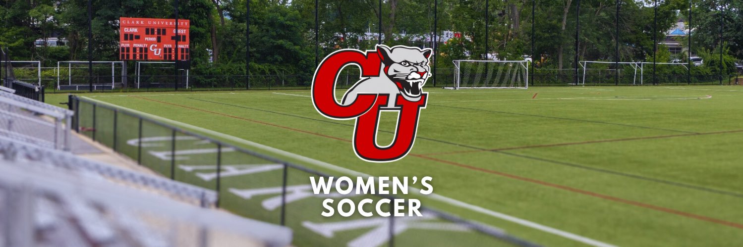 Erin Thompson banner