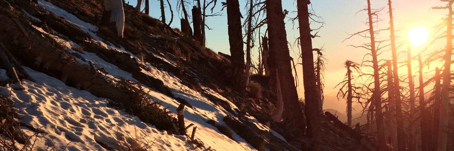 HeyKdGrossman's profile banner image