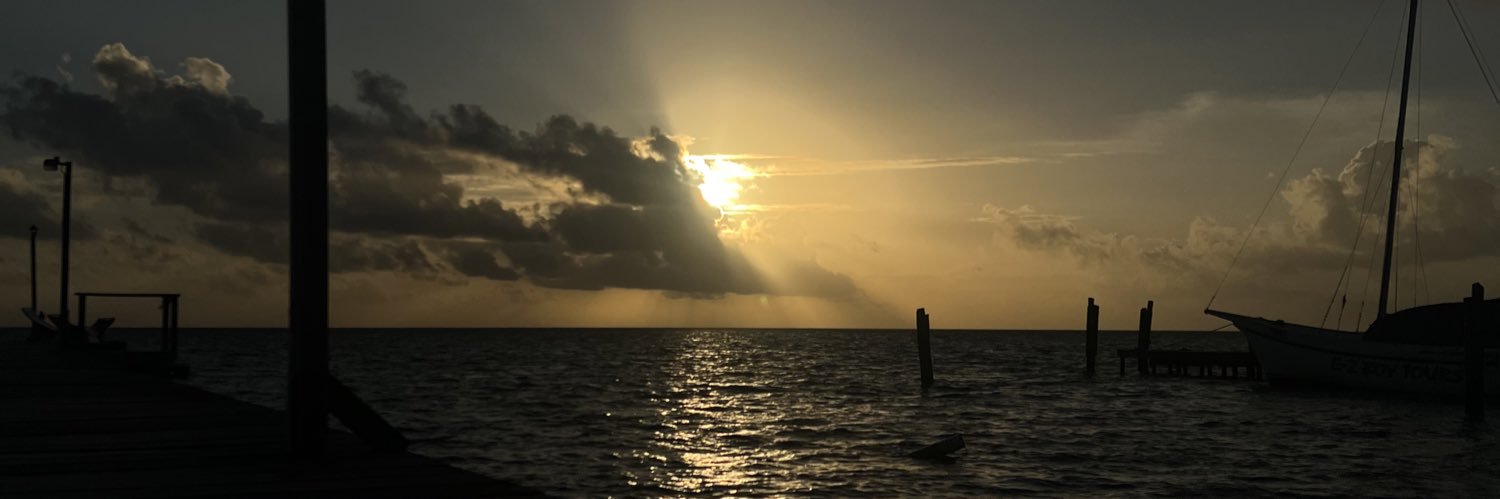 _caarah's profile banner image