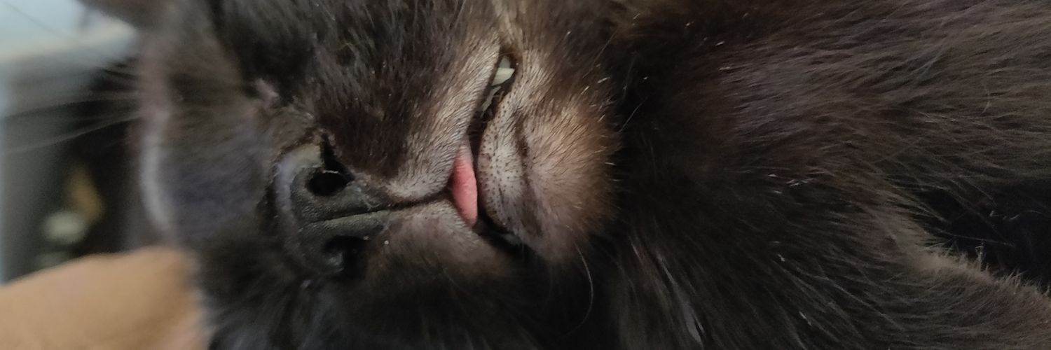 FluffeyGuffey's profile banner image