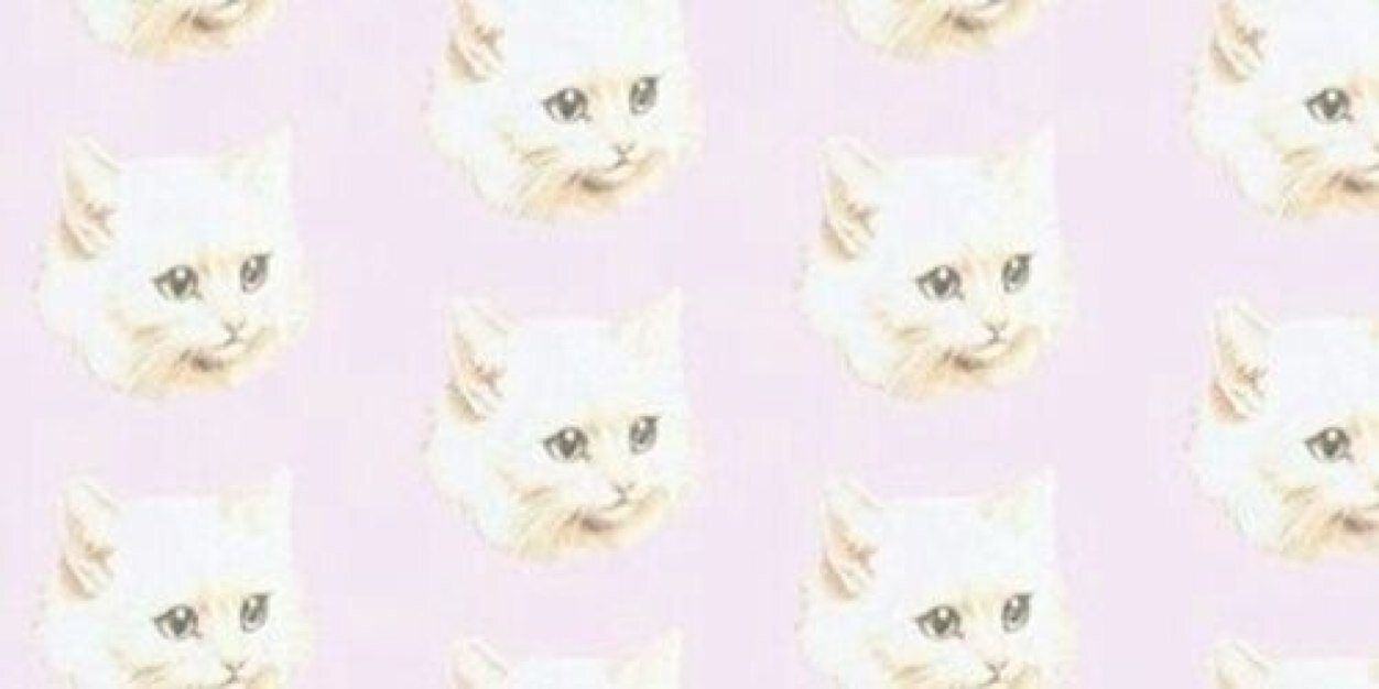 RMadisonVC's profile banner image