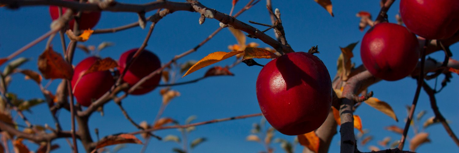 edibletrees's profile banner image