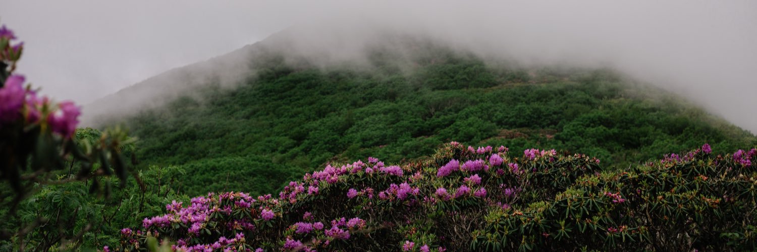 thekellymusic's profile banner image