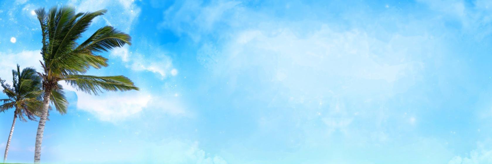 BellaMill31's profile banner image
