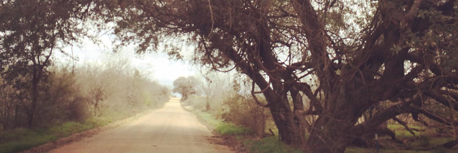 redhotjes's profile banner image