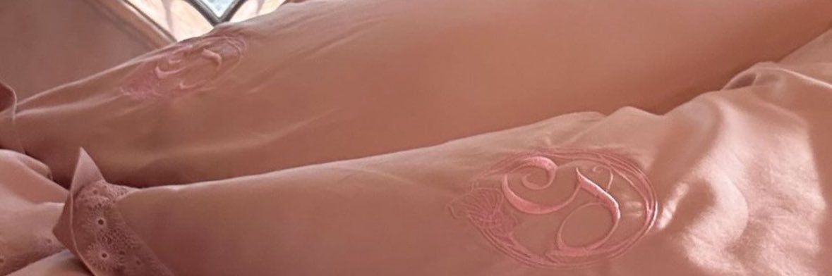 tinyelephantlot's profile banner image