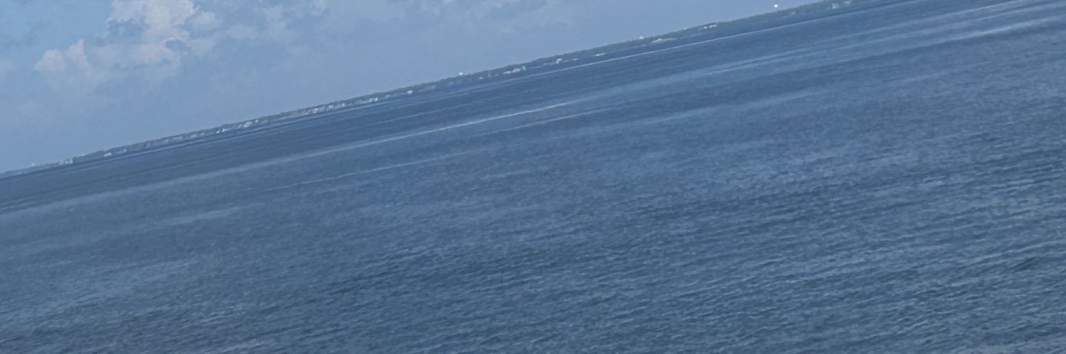 sandra currier banner