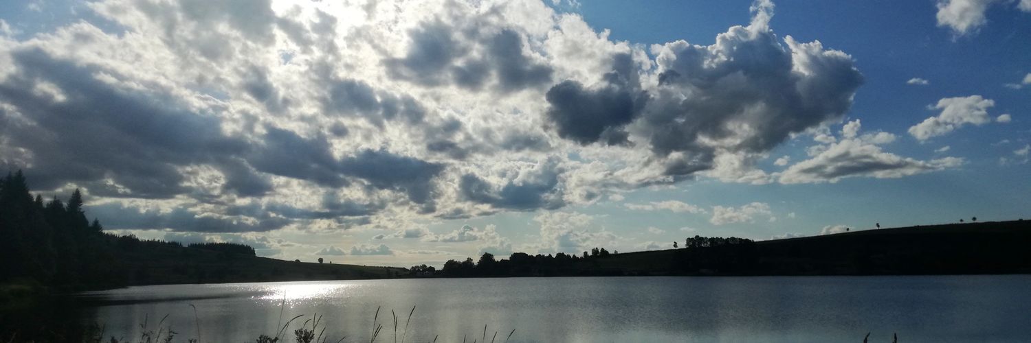 m8lice's profile banner image