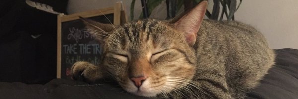 DeeepDimplesss Profile Banner