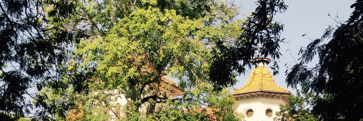 olyerelubisa's profile banner image