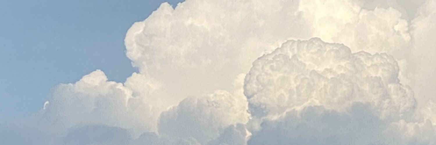 lemonade_nmqs's profile banner image