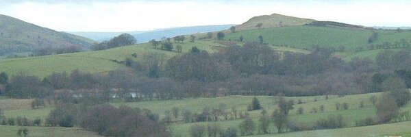 CranberryCott Profile Banner