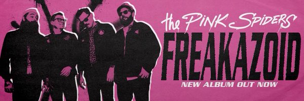 The Pink Spiders Profile Banner