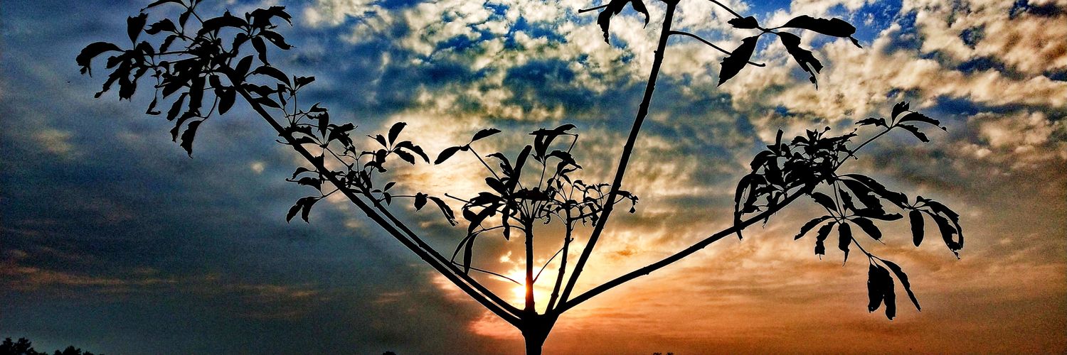 UddiptaAsom's profile banner image