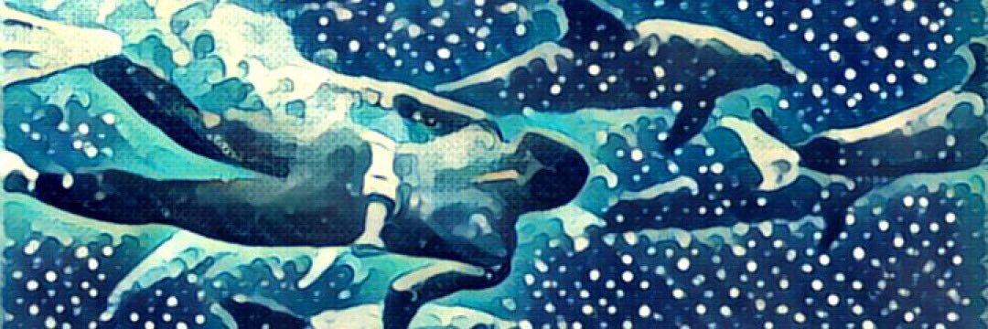 kurooooooobi's profile banner image