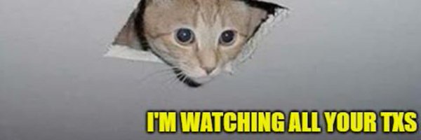 CryptoCatVC Profile Banner