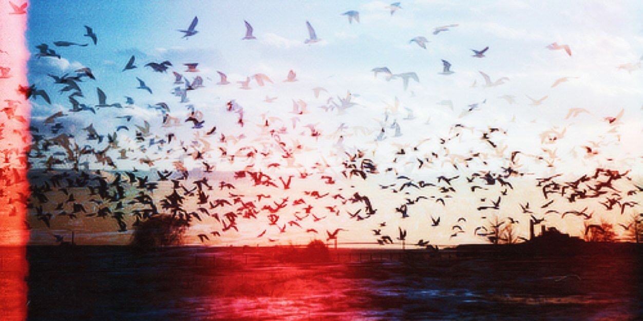 justinallg_'s profile banner image