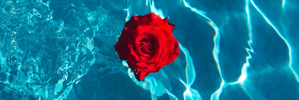 spas_affordable's profile banner image