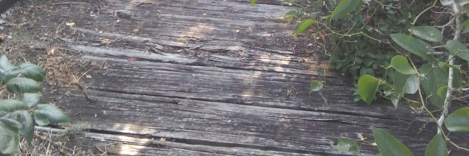 EricaKitten's profile banner image
