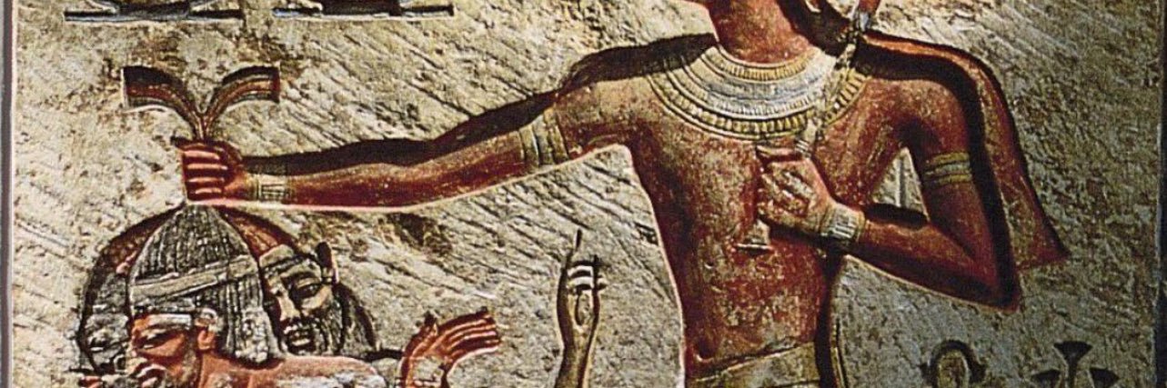 don’t care 🇪🇬 banner