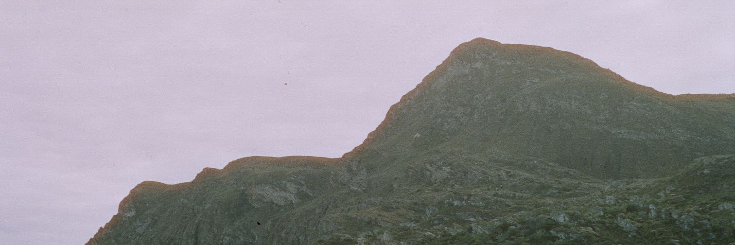olitrizbeave's profile banner image