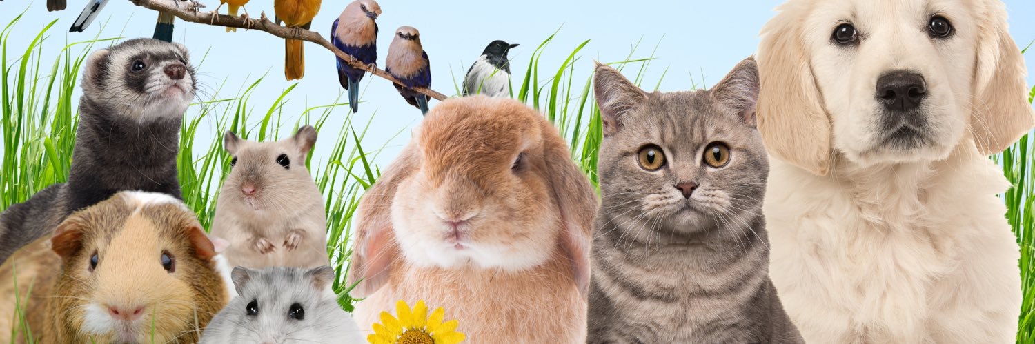 CUNIPIC l Alimentación natural para tu mascota banner