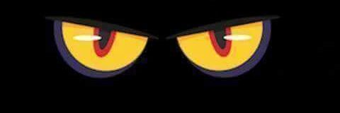 Faris banner
